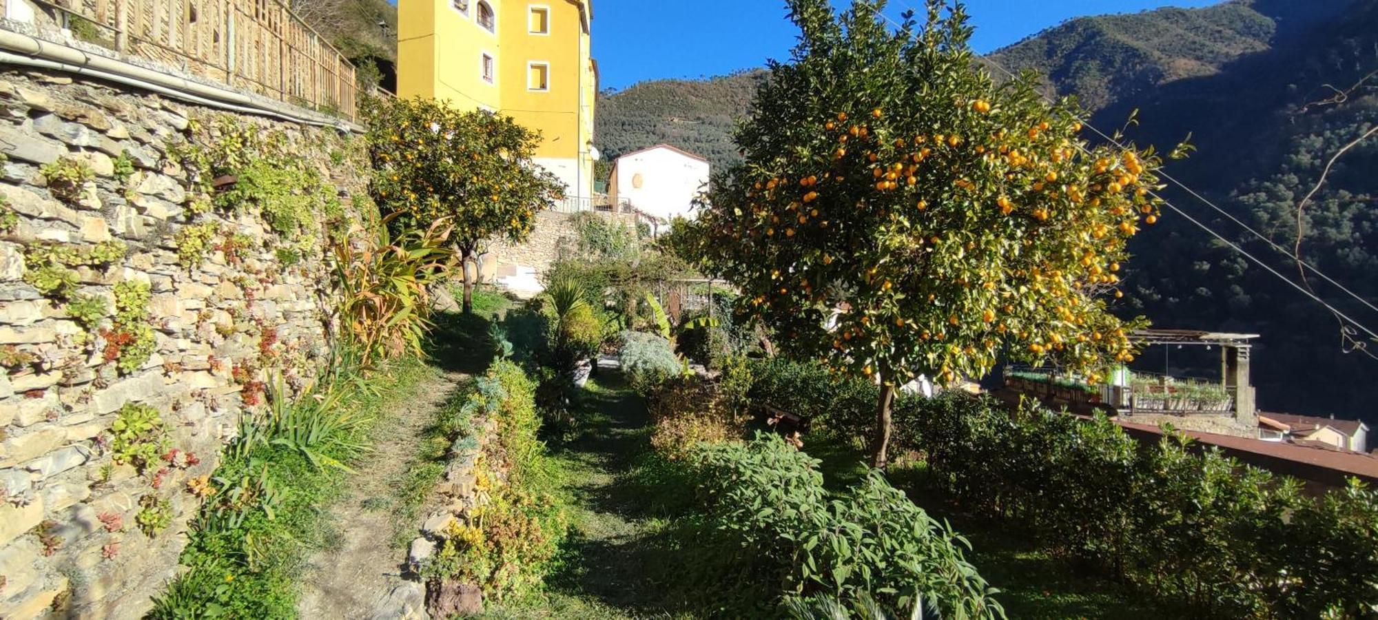 Holiday home Casa Pablo