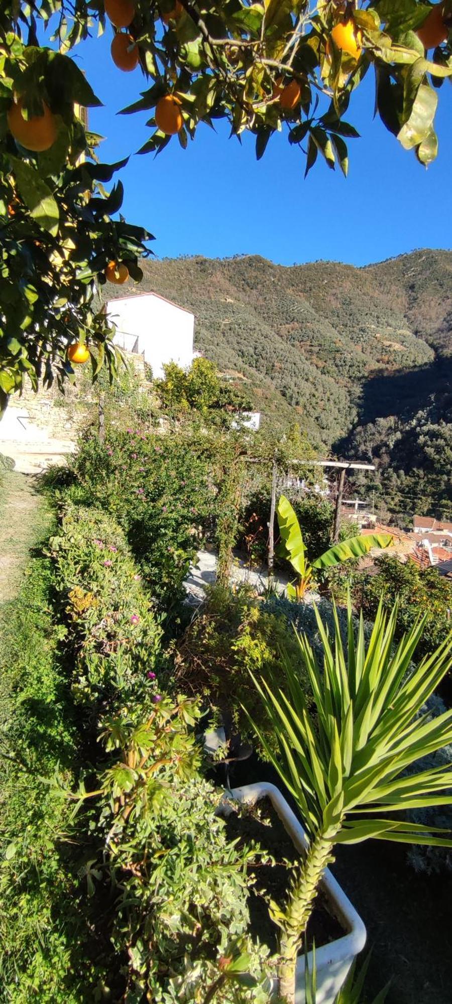 Casa Pablo Vakantiehuis *