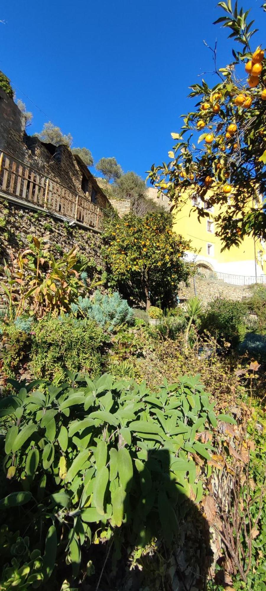 Holiday home Casa Pablo Badalucco